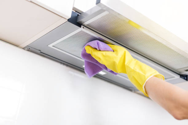 Best Home Air Vent Cleaning  in La Joya, TX